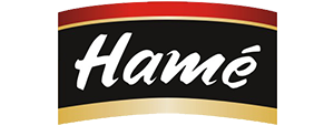 Logo HAME